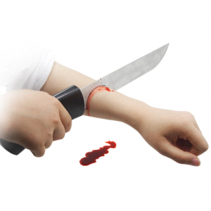 Knife Thru Arm (2006)