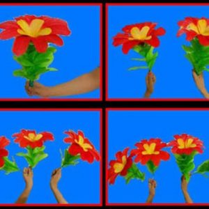 Changing One Flower into Four Flowers (only 1 pc)