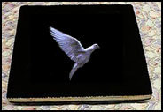 Dove Tray (0555D6)