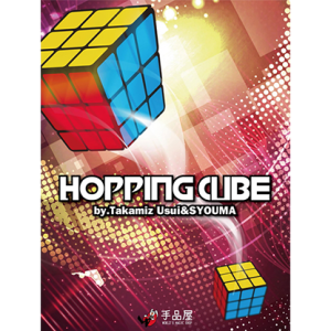 Hopping Cube by Takamiz Usui & Syouma (4861)