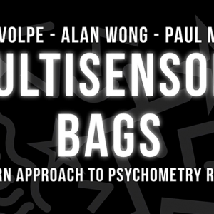Multisensory Bags by Luca Volpe (4783)