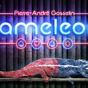 The Kameleon by Marhand de Trucs (4866)