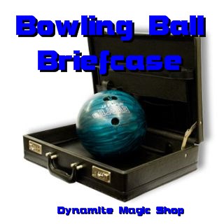 Bowling Ball Briefcase (2166J5)