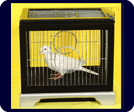 Dove & Balloon Cage (1629G4)