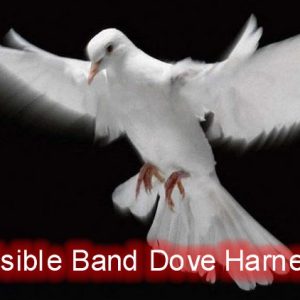 Invisible Band Dove Harness