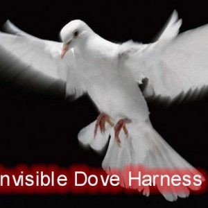 Invisible Dove Harness